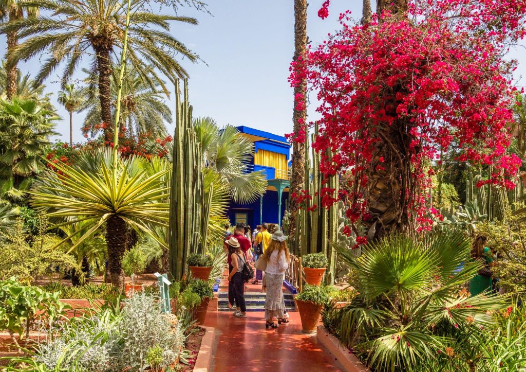 Majorelle Gadren